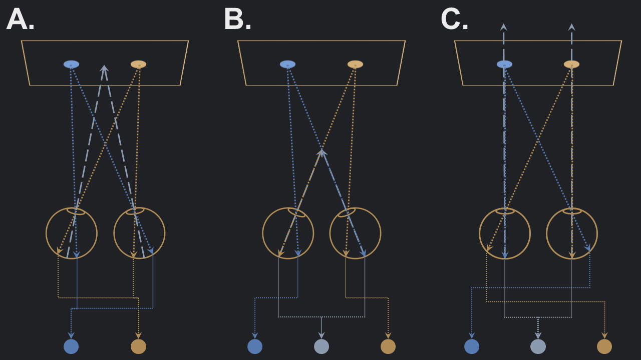 Diagram explaining cross-eyed and parallel viewing for perceiving stereograms