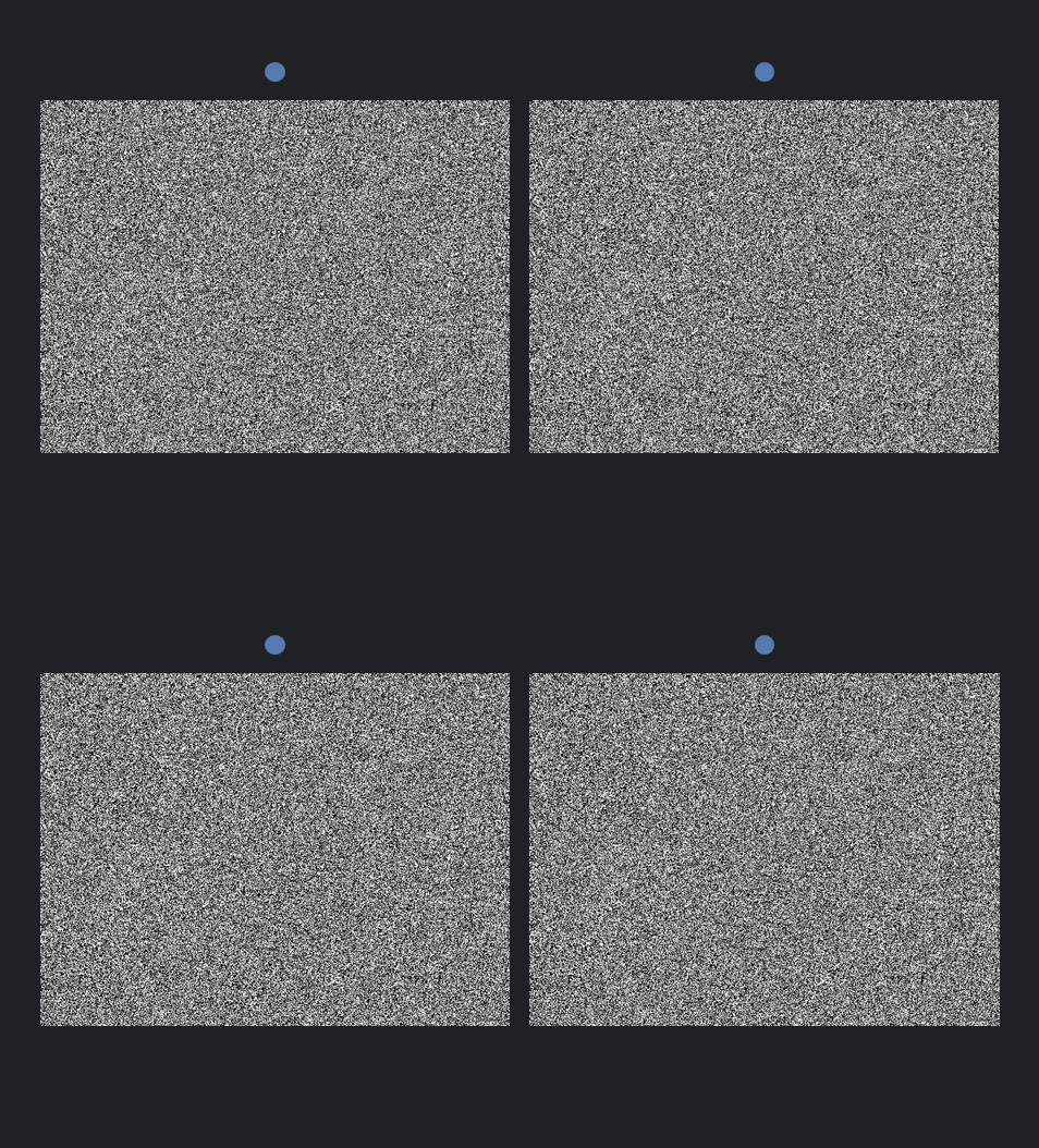 Random-Dot Stereogram