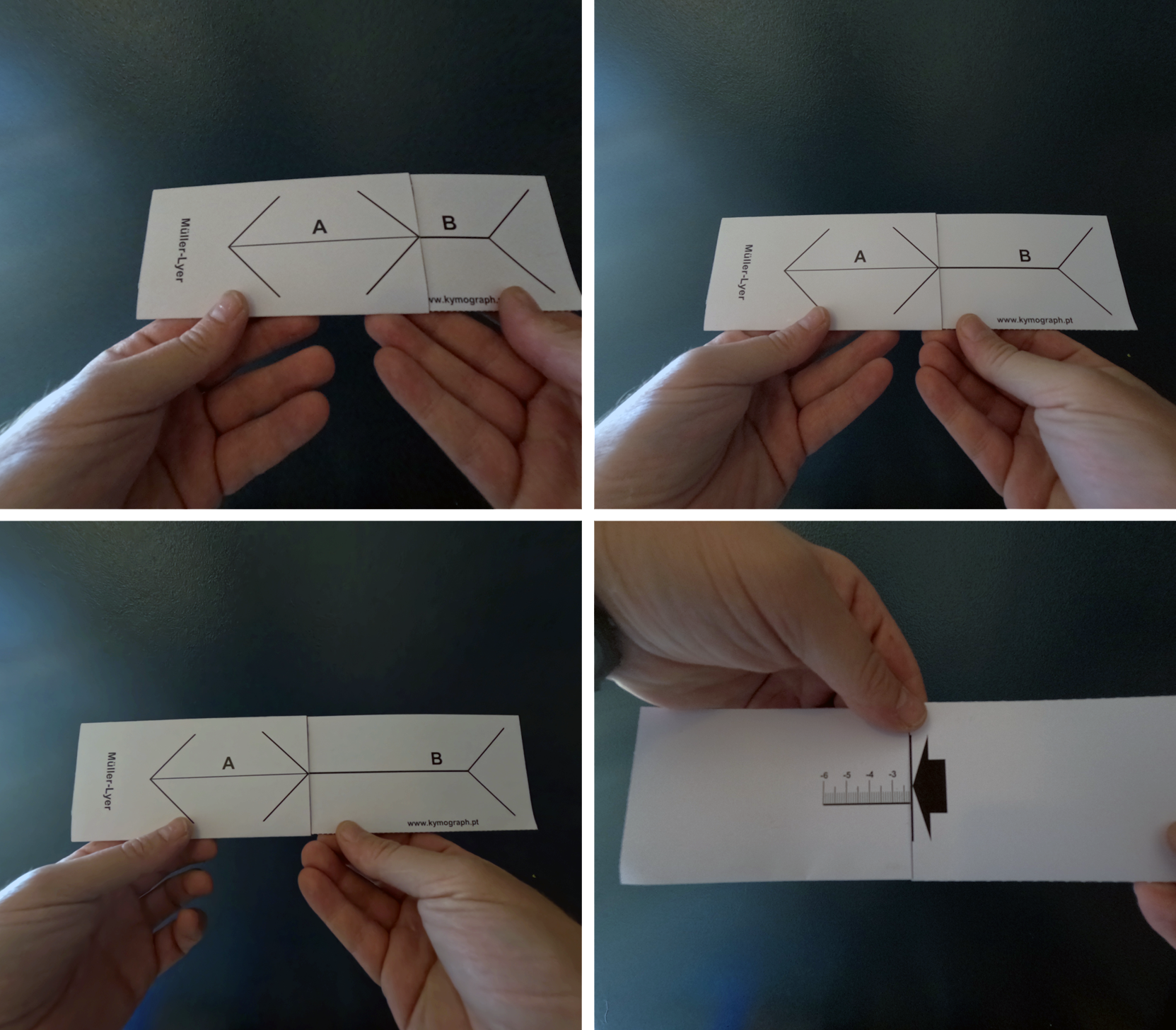 Photographs illustrating the interactive demonstration of the Müller-Lyer illusion