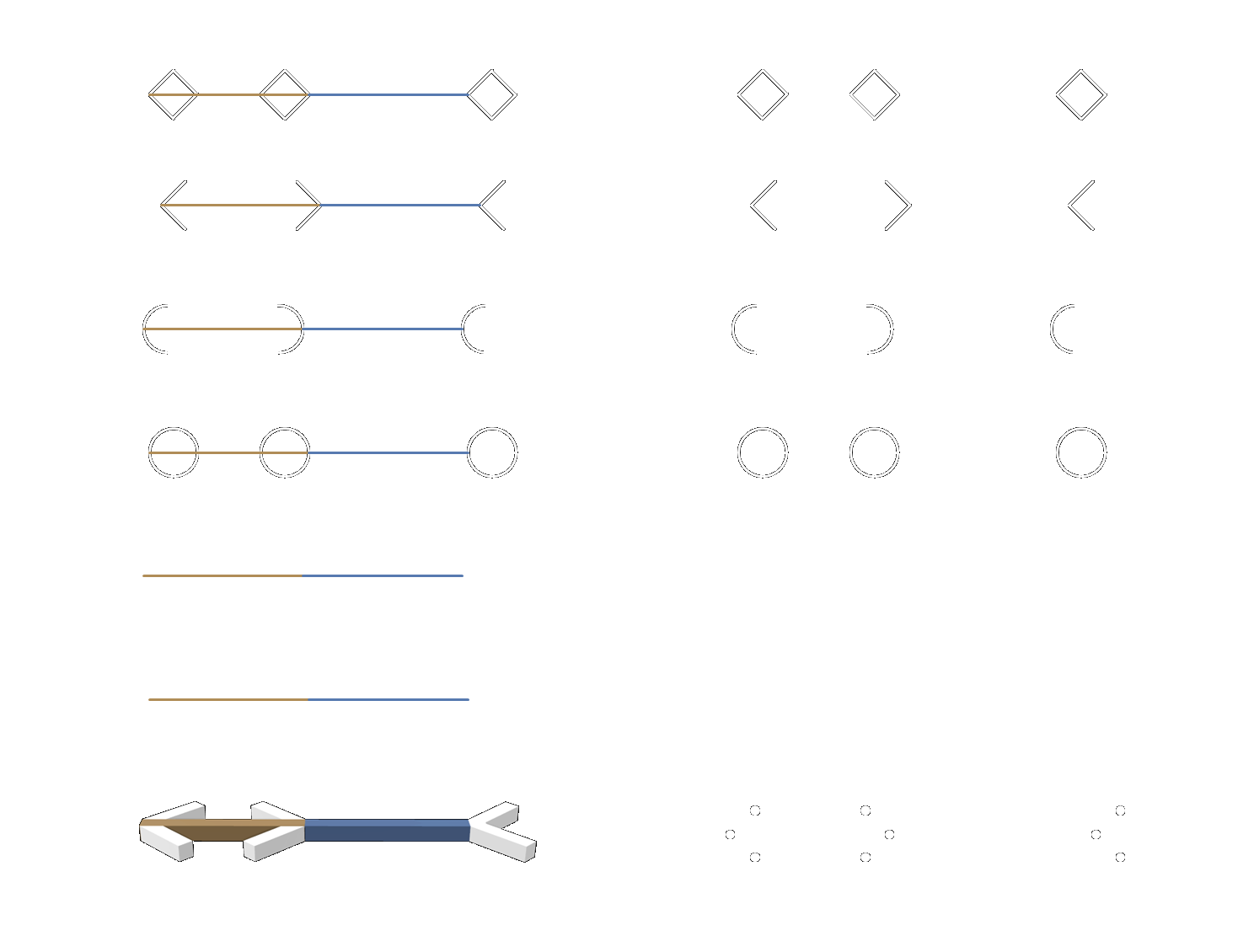 Illustration of several versions of the Müller-Lyer illusion